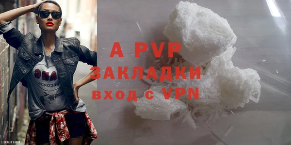 крисы Алзамай