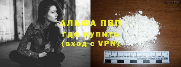 крисы Алзамай
