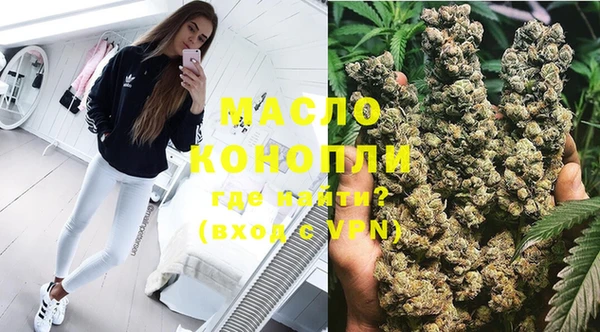 крисы Алзамай