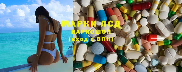 крисы Алзамай