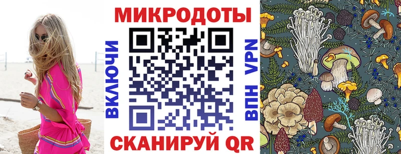 Псилоцибиновые грибы GOLDEN TEACHER  Бирюч 